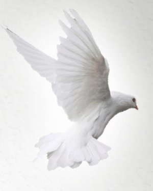 catherine kraft-kenney