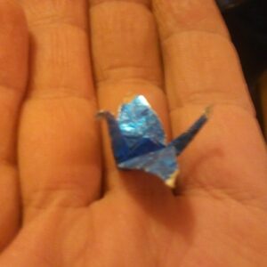 maya linnell Gallery