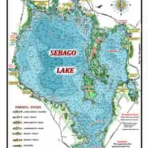 laura martin Gallery