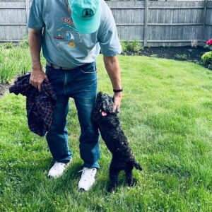 douglas coyle Gallery