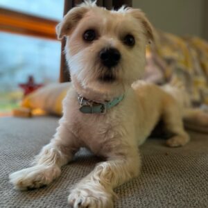 joseph ferrell Gallery