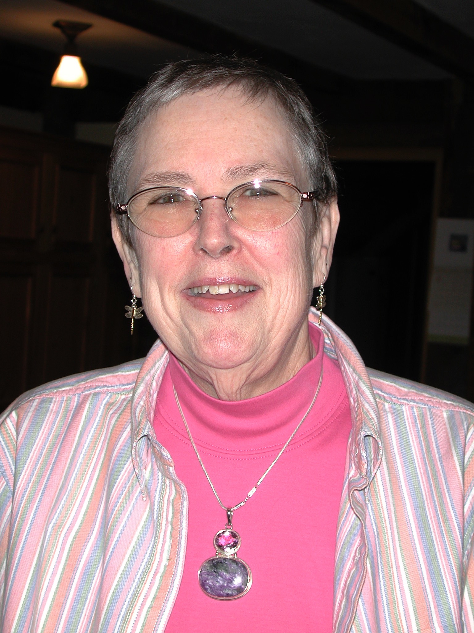susan higgins