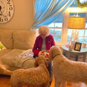 susan harkins Gallery