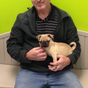 george richardson Gallery