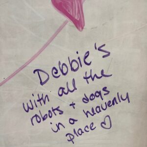 debra shaw Gallery