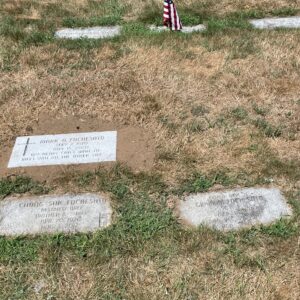 mark fochesato Gallery