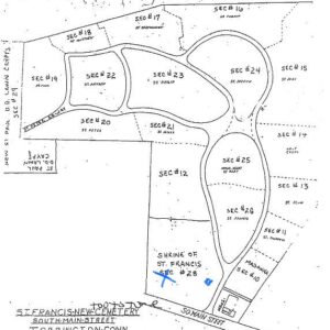 mark fochesato Gallery