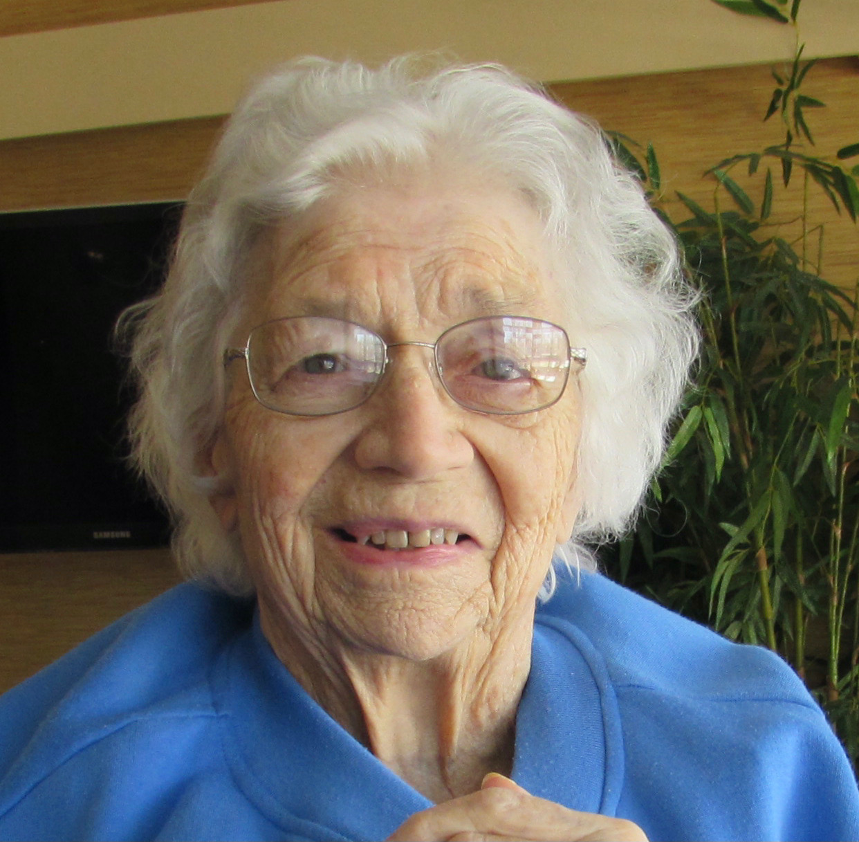 thelma dipierro