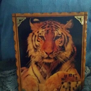 bruce hebert Gallery