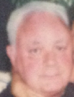 robert napolitano