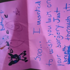 carol sullivan Gallery