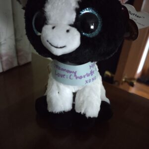 carol sullivan Gallery