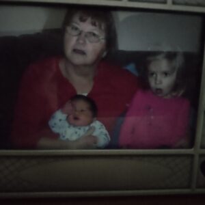 carol sullivan Gallery