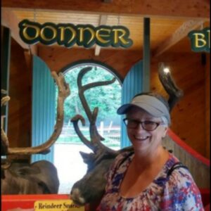 donna collins Gallery