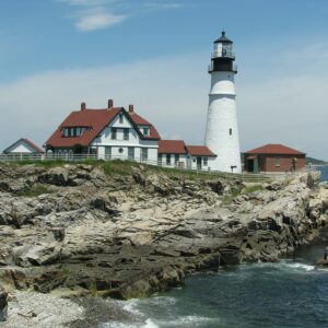 barbara page Gallery