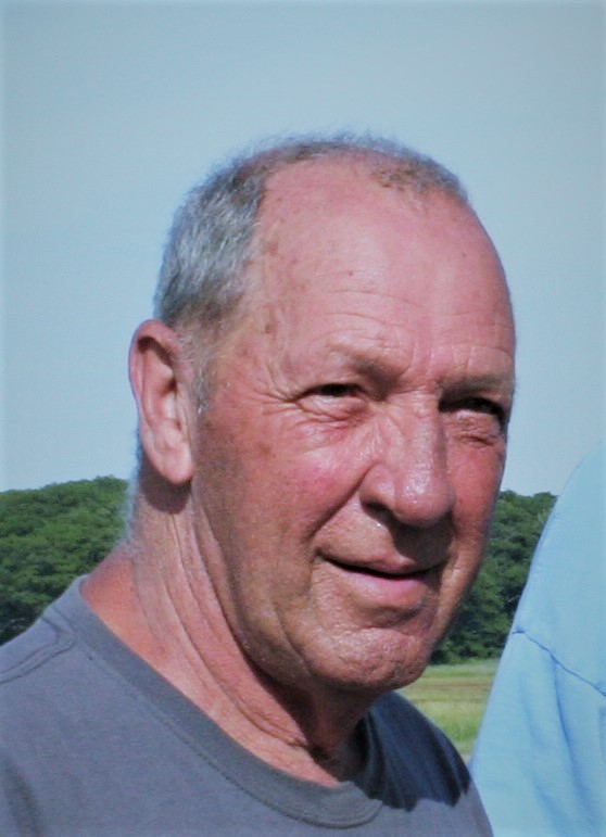 allan beausang ii