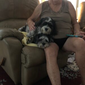 (lucille) sharon michaud Gallery