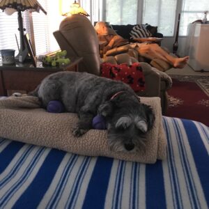 (lucille) sharon michaud Gallery