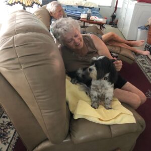 (lucille) sharon michaud Gallery