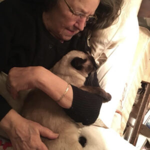 edna chapman Gallery