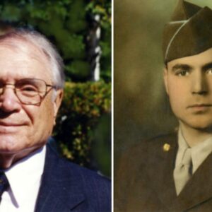 andre dumont Gallery