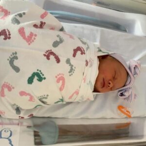 daniel angers Gallery