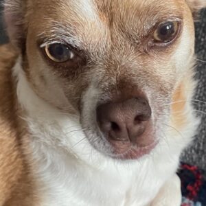 daniel angers Gallery