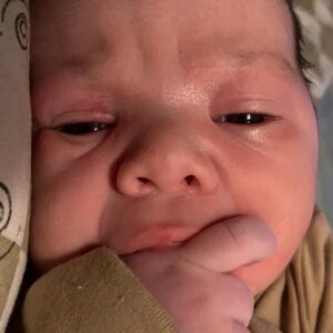 daniel angers Gallery