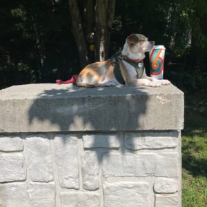 daniel angers Gallery