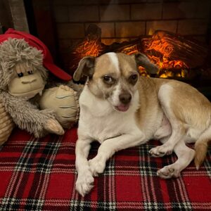 daniel angers Gallery