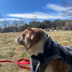 daniel angers Gallery