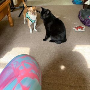 daniel angers Gallery