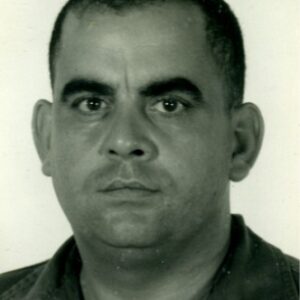 raymond cambra Gallery