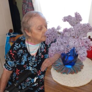 dorothea burnell Gallery