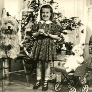 carol laroche Gallery