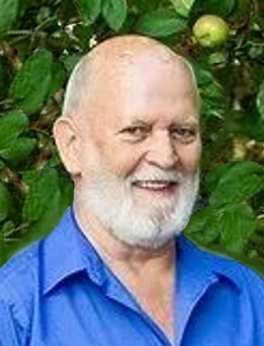 archie plante