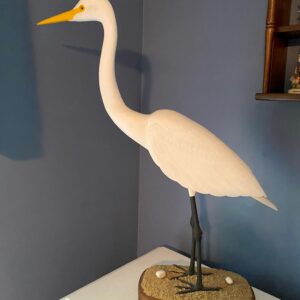 fred robinson Gallery