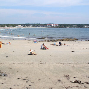 thomas williams Gallery