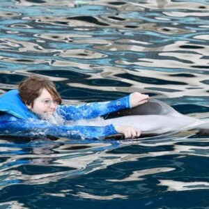 robert appleyard Gallery