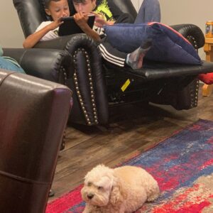 robert appleyard Gallery