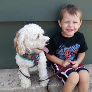 robert appleyard Gallery