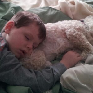 robert appleyard Gallery