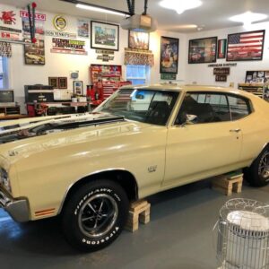 thomas novellino Gallery