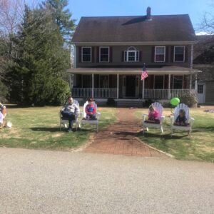 violet st. jean Gallery