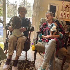 violet st. jean Gallery