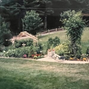 lorraine st. pierre Gallery