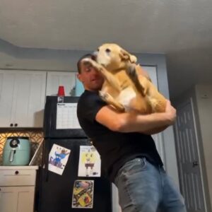 beverly gagne Gallery