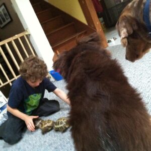 bertha gendreau Gallery