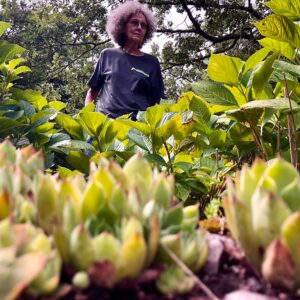 mary lou mont Gallery