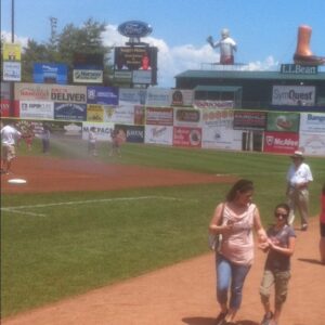 christine brewster Gallery